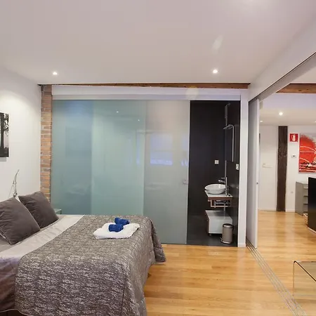 Baps Apartment Bilbao