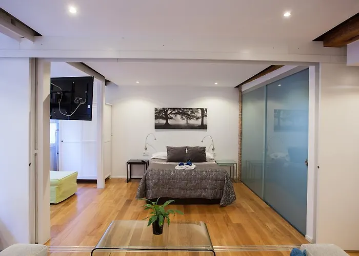 巴普斯公寓 * 毕尔巴鄂