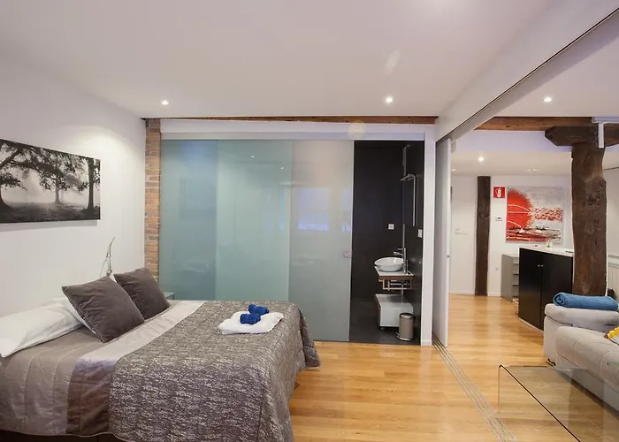 Baps Apartmán Bilbao