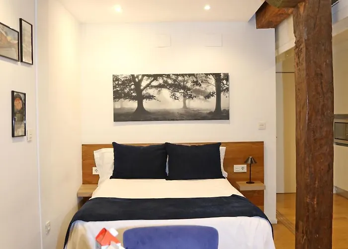 Baps Apartment Bilbao